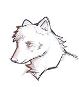 A headshot of Howell Franklin, a werewolf with faint constellations in his fur.